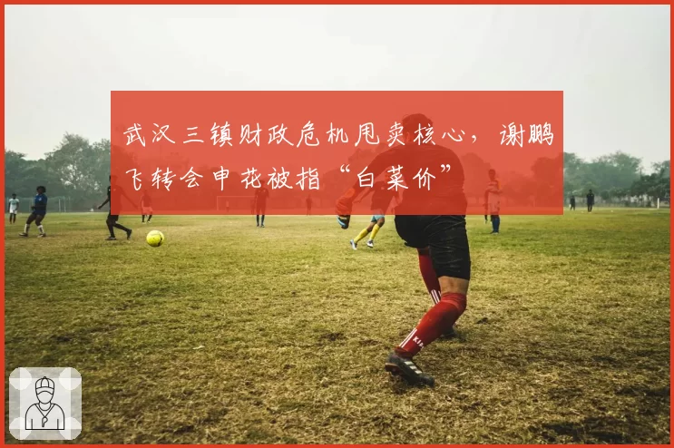 武汉三镇财政危机甩卖核心,谢鹏飞转会申花被指“白菜价”