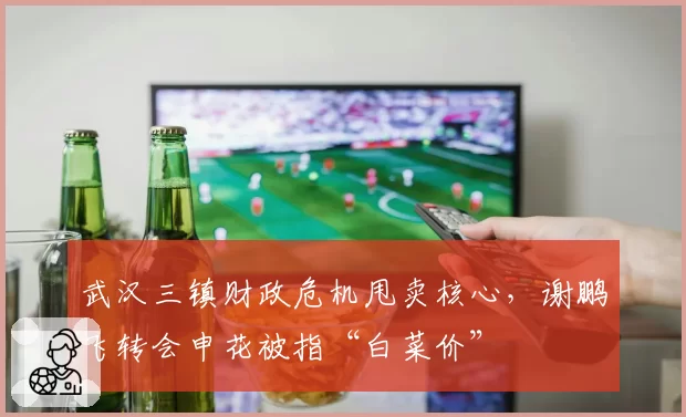 武汉三镇财政危机甩卖核心,谢鹏飞转会申花被指“白菜价”