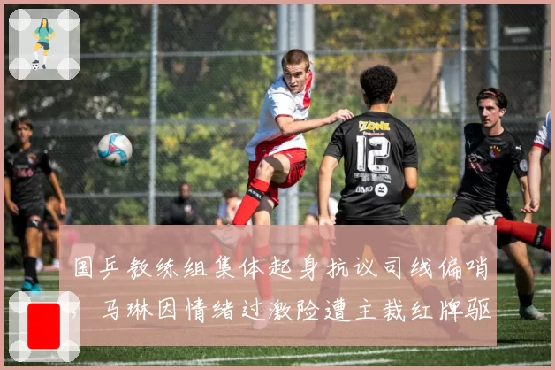 国乒教练组集体起身抗议司线偏哨,马琳因情绪过激险遭主裁红牌驱逐出赛场
